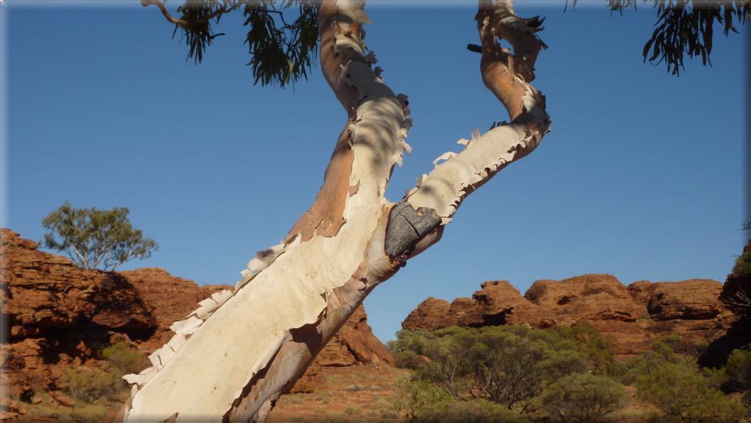 foto Parco nazionale Uluru Kata Tjuta